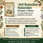 +160 Remedios Caseros Holisticos